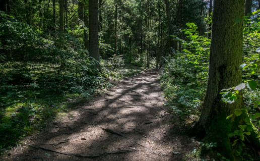 8_varnikiu-botaninio-zoologinio-draustinio-pazintinis-takas-5d611c3a58169_VSTT_L (2).jpg